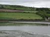 Clonakilty Bay 2_thumb.jpg 2.1K